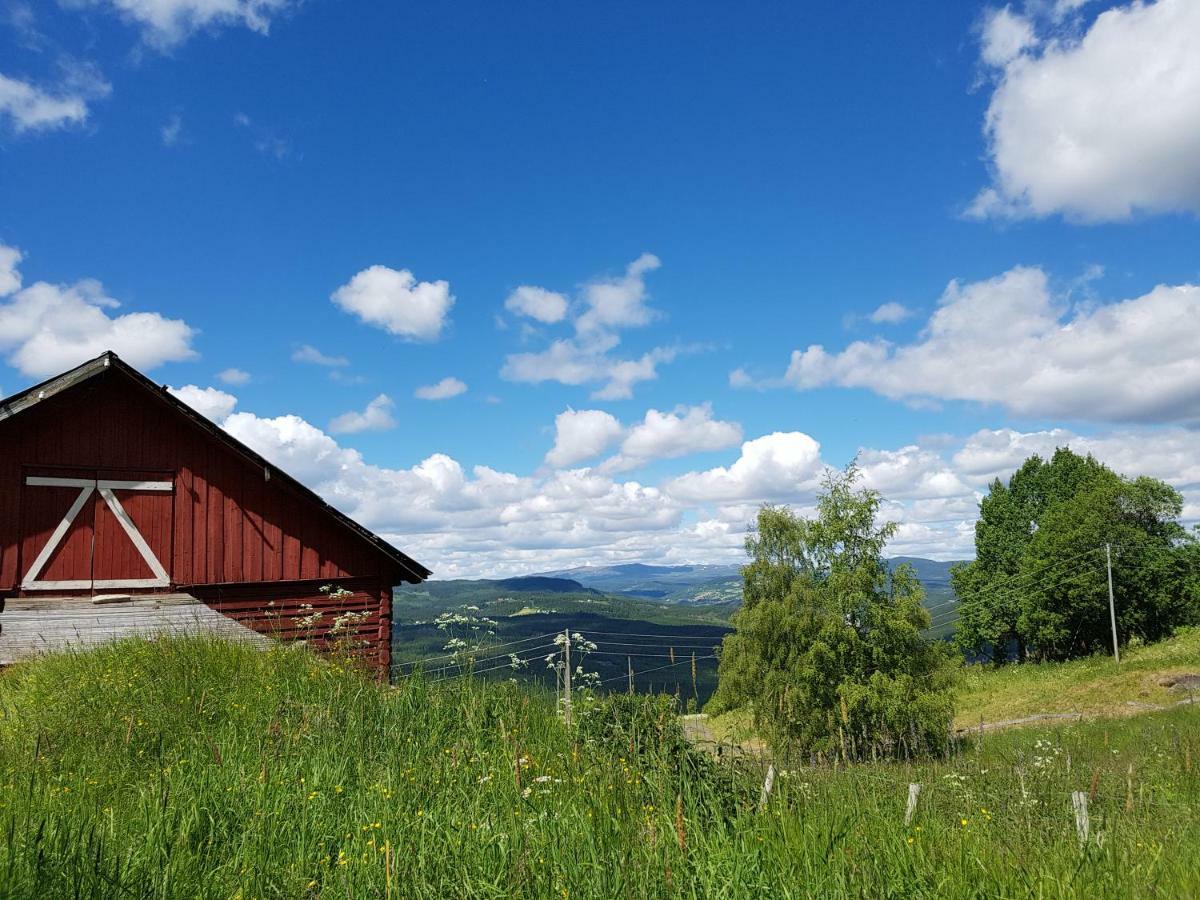 Haugtun Gardspensjonat Og Leiligheter Nordre Land Buitenkant foto