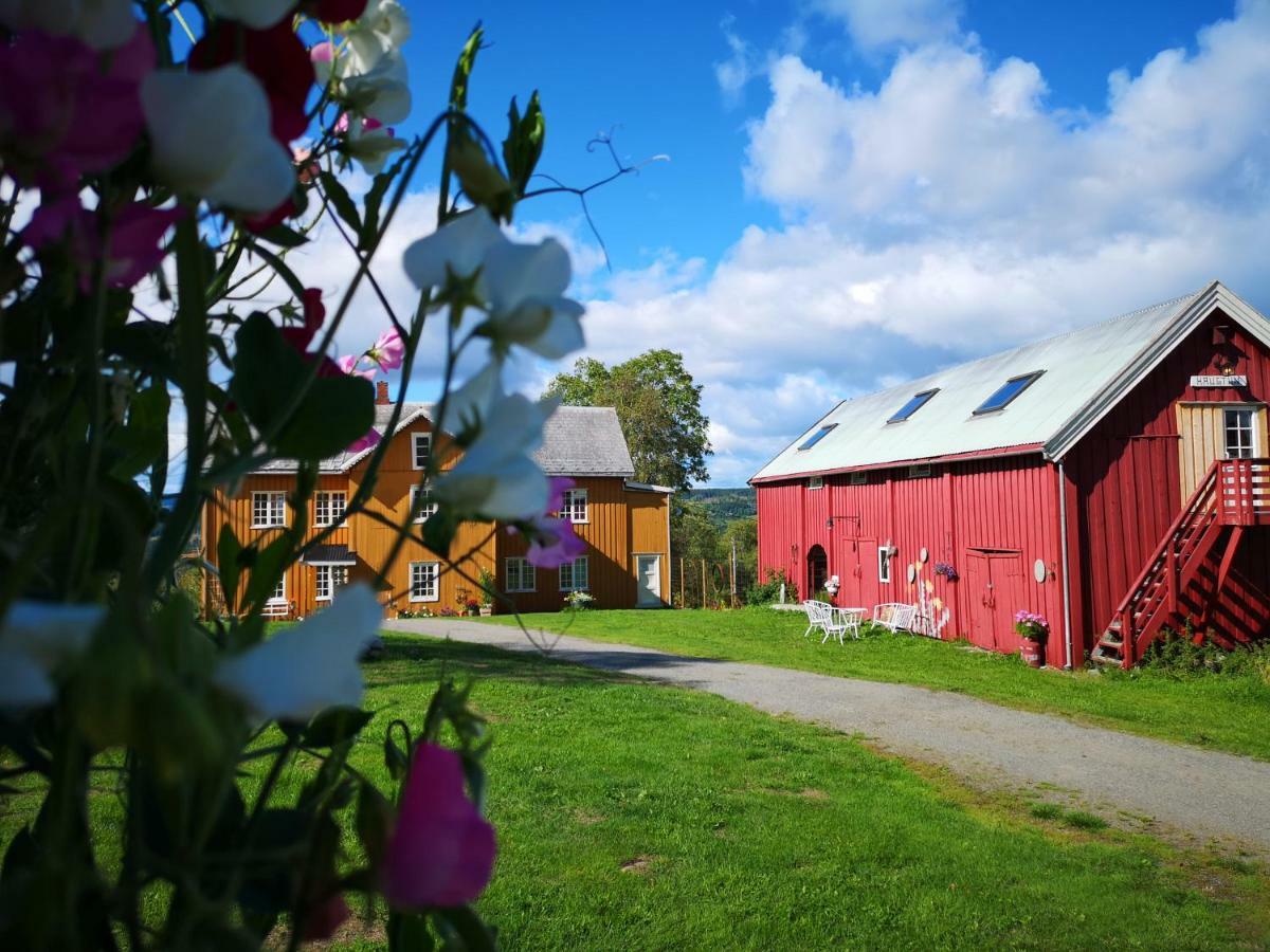 Haugtun Gardspensjonat Og Leiligheter Nordre Land Buitenkant foto
