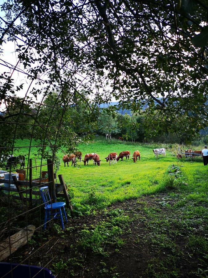 Haugtun Gardspensjonat Og Leiligheter Nordre Land Buitenkant foto
