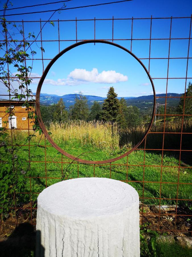 Haugtun Gardspensjonat Og Leiligheter Nordre Land Buitenkant foto