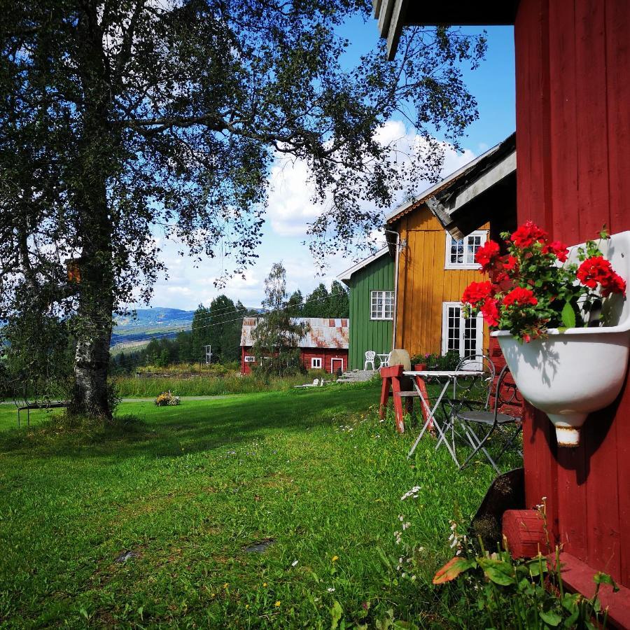 Haugtun Gardspensjonat Og Leiligheter Nordre Land Buitenkant foto