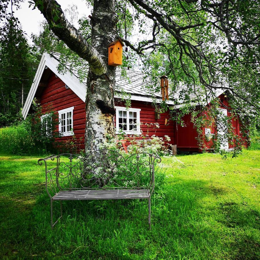 Haugtun Gardspensjonat Og Leiligheter Nordre Land Buitenkant foto